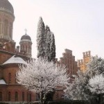 gallery_6287271655_3669848782