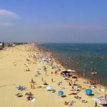 скачанные файлы