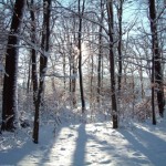 sfondi_natura_02